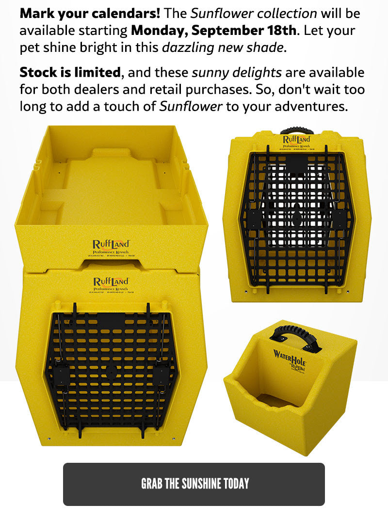 LARGE-Yellow Kennel